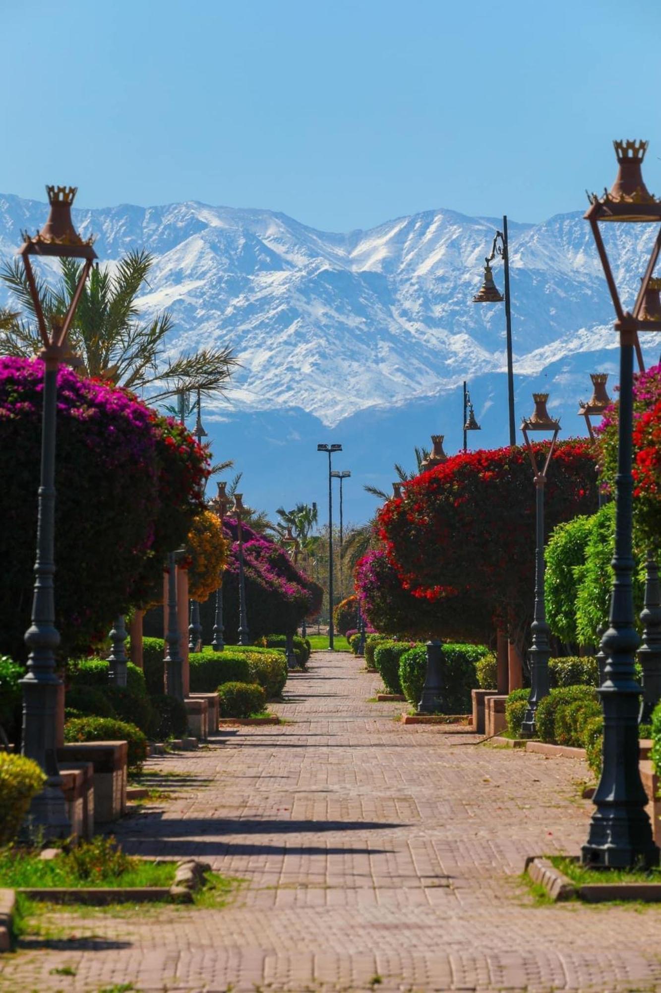 Riad Majestic Marrakech มาร์ราเกช ภายนอก รูปภาพ