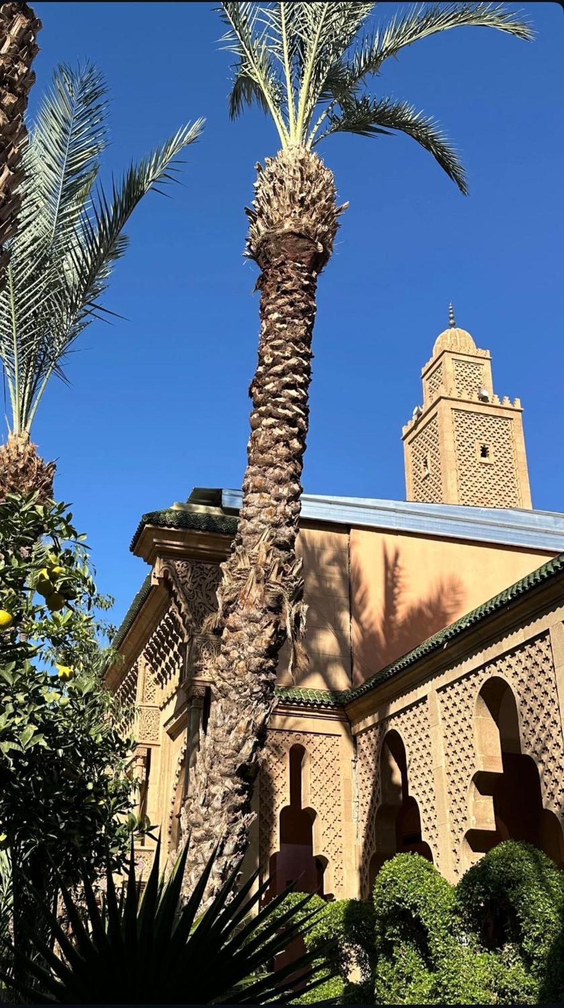 Riad Majestic Marrakech มาร์ราเกช ภายนอก รูปภาพ